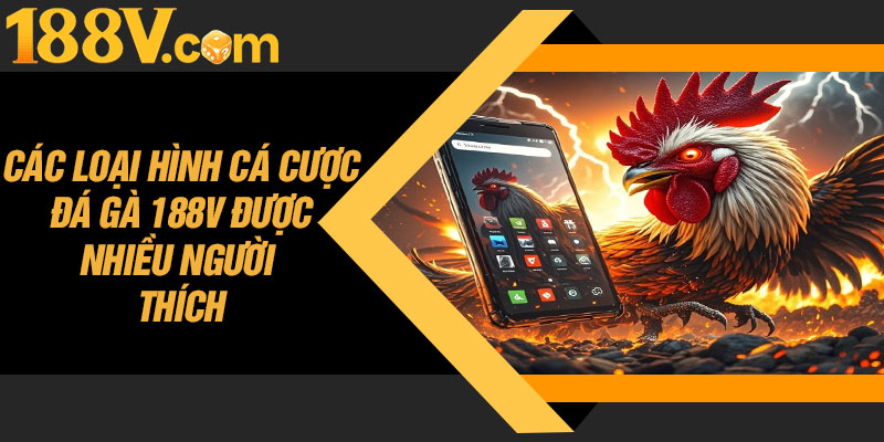 Các Loại Hình Cá Cược Đá Gà 188V Được Nhiều Người Thích