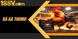 Da Ga Thomo