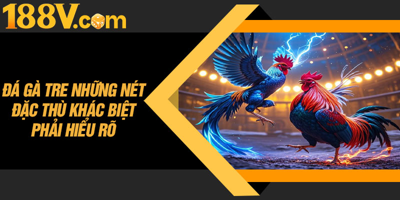 Đá Gà Tre Những Nét Đặc Thù Khác Biệt Phải Hiểu Rõ