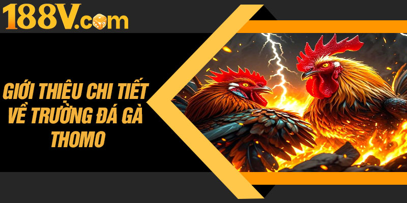 Giới Thiệu Chi Tiết Về Trường Đá Gà Thomo