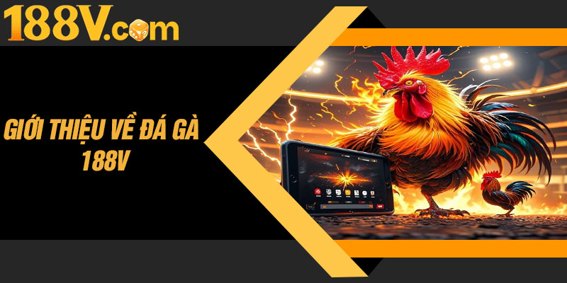 Giới Thiệu Về Đá Gà 188V