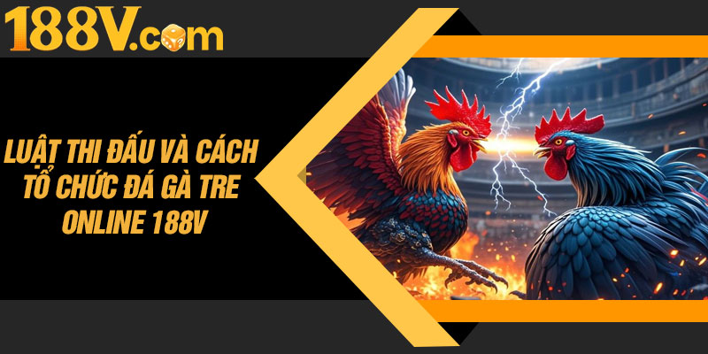 Luật Thi Đấu Và Cách Tổ Chức Đá Gà Tre Online 188V