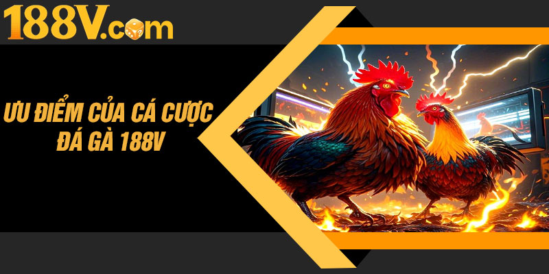 Ưu Điểm Của Cá Cược Đá Gà 188V